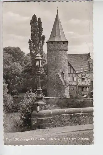 6348 HERBORN, Partie am Dillturm 1961