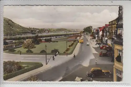 5470 ANDERNACH, Rheinanlagen 1956, Oldtimer