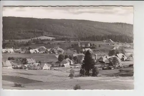 7822 HÄUSERN bei Sankt Blasien, Ortsansicht