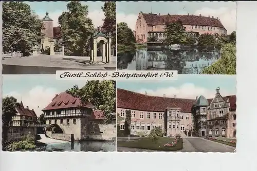 4430 BURGSTEINFURT, Schloß, Mehrbildkarte