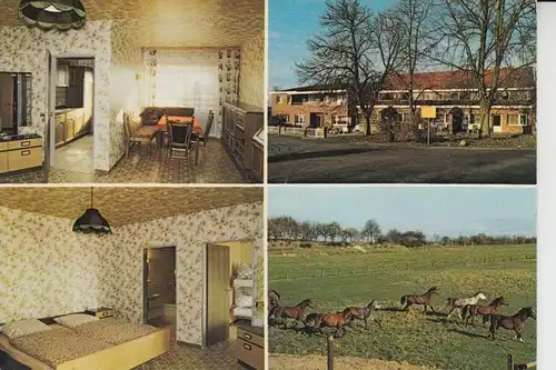 4472 HAREN, Reiterhof & Pension Lüssing, Mehrbildkarte