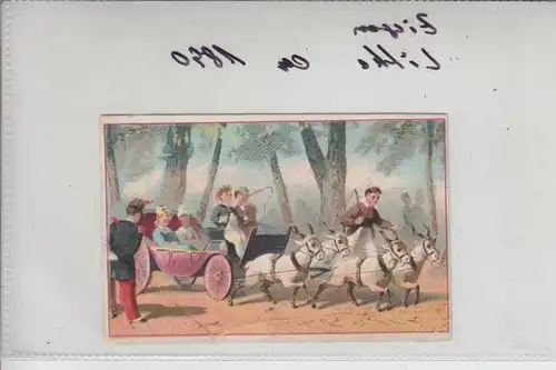 TIERE - ZIEGEN - Goats - Geiten - Chevres - Kaufmannsbild ca. 1890