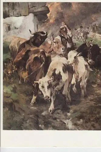 TIERE - KÜHE - "STALLBRAND"  Künstler-Karte A.Braith