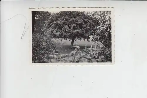NL - GELDERLAND - RENKUM - OOSTERBEEK, Photo Maibaum bei Oosterbeek 1934
