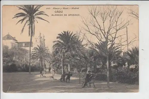 E 11000 CADIZ, Alameda de Apodaca