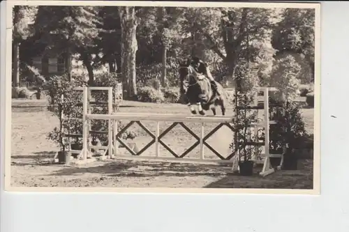 SPORT - REITSPORT - Photo-AK München 1964, kl.Knick