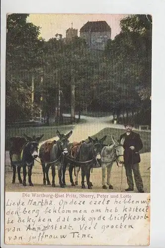 0-5900 EISENACH, WARTBURG - ESEL Fritz,Sherry, Peter & Lotte 1905, kl.Eckmangel