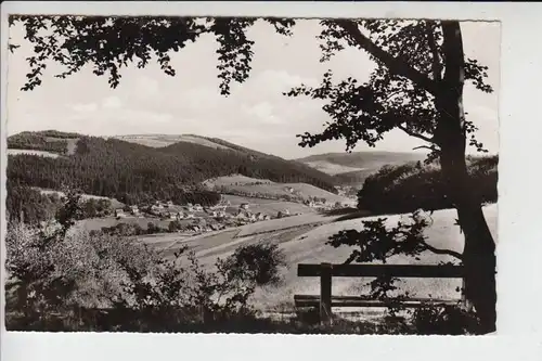 3541 SCHWALEFELD, Blick vom Burgring 1970