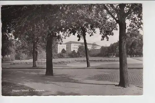 5800 HAGEN, Volkspark 1956, kl.Druckstellen