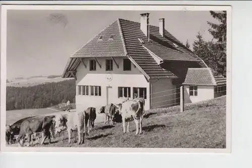 NATURFREUNDE - NFH - NFI - Naturfreundehaus Hatzenwald Kreis Säckingen - Landpoststempel Altenschwand