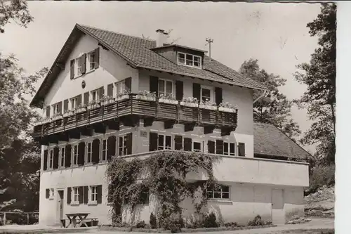NATURFREUNDE - NFH - NFI - Naturfreundehaus Steinknickle, OG Heilbronn