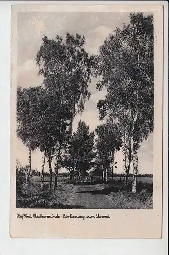 0-2120 UECKERMÜNDE, Birkenweg zum Strand