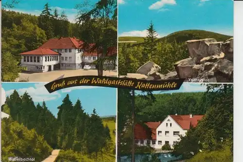 4934 HORN - BAD MEINBERG, Horn, Waldgaststätte Kattenmühle, Mehrbildkarte