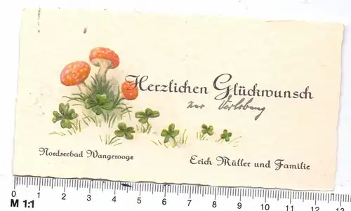 PILZE / Mushrooms / Funghi / Champignons - Glückwunschkärtchen, geprägt