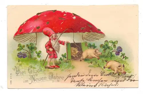 PILZE / Mushrooms / Champignons / Funghi, Zwerg mit Pilzhaus und Glücksschweinen, Präge-Karte / embosed / relief, 1903