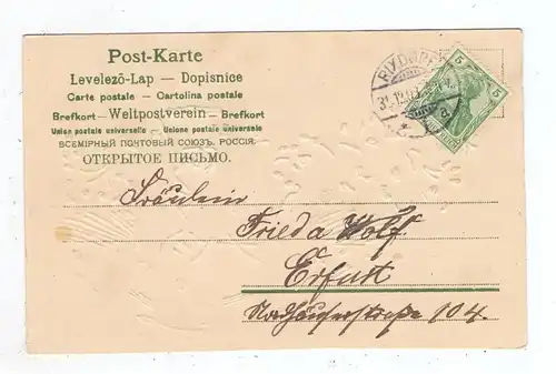 PILZE / Mushrooms / Champignons / Funghi, Zwerg mit Pilzhaus und Glücksschweinen, Präge-Karte / embosed / relief, 1903