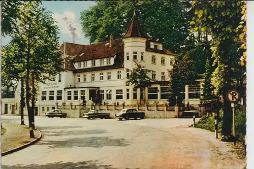 4505 BAD IBURG, Waldhotel Felsenkeller, 1964, OPEL REKORD, FORD, Mercedes Benz