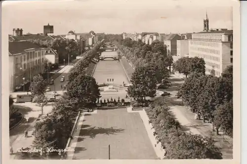 4000 DÜSSELDORF, Königsallee 1954