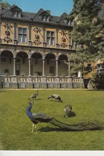 4050 MÖNCHENGLADBACH - RHEYDT, Schloss Rheydt - Pfauen