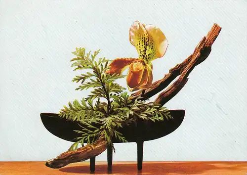 BOTANIK - IKEBANA, Charlotte Barth