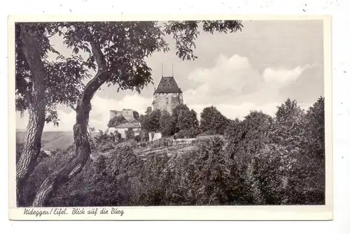 5168 NIDEGGEN, Blick auf die Burg, 1950