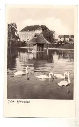 5170 JÜLICH, Schwanenteich, 1955