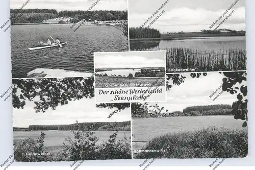 5418 SELTERS - STEINEN, Brinkenweiher, Westerwälder Seenplatte