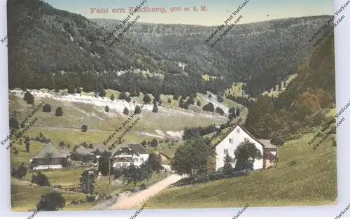 7868 TODTNAU - FAHL, Dorfansicht 1921