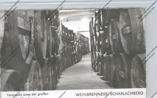 6530 BINGEN, Scharlachberg Meisterbrand Weinbrennerei, Lager Ansicht