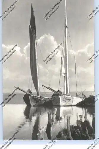 0-2383 PREROW / Darß, Zeesenboote auf dem Bodden, 1957