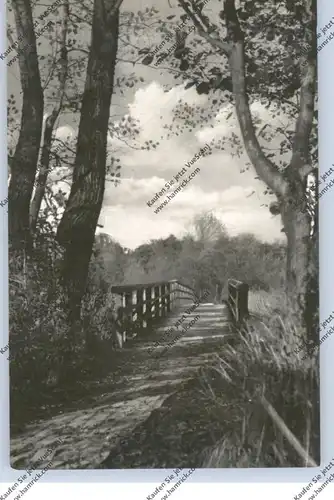 0-2383 PREROW / Darß, Brücke über den Strom, 1957
