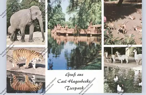 ZOO - HAMBURG, HAGENBECK, Gruss aus..