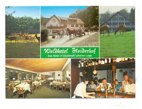 5232 FLAMMERSFELD-HORHAUSEN-OBERSTEINEBACH, "Waldhotel Heiderhof"