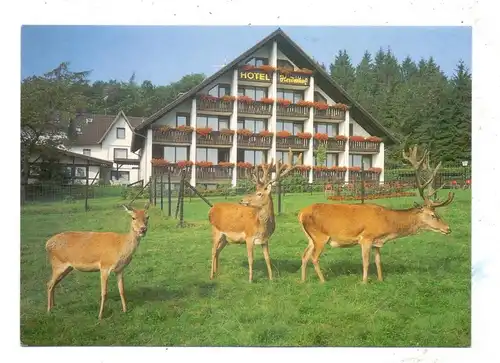 5232 FLAMMERSFELD-HORHAUSEN-OBERSTEINEBACH, "Waldhotel Heiderhof"