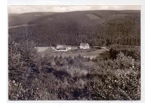 5948 SCHMALLENBERG - RIMBERG, Hotel Pension Knoche, 1965