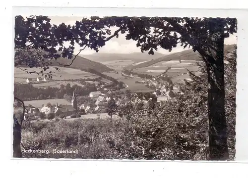 5948 SCHMALLENBERG - FLECKENBERG, Gesamtansicht, 1965