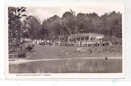 4600 DORTMUND - BRÜNNINGHAUSEN, Tierpark / Zoo, 1955