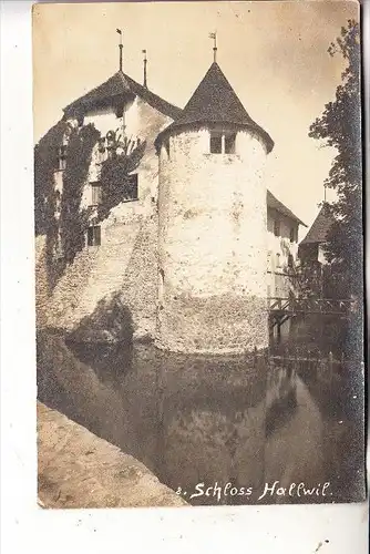 CH 5705 HALLWIL, Schloss, Photo-AK