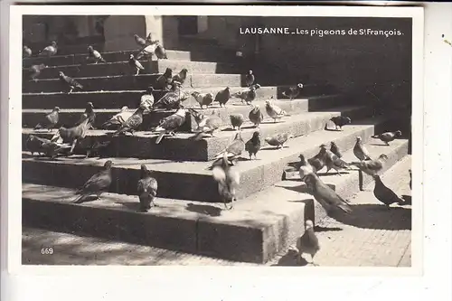 CH 1000  LAUSANNE VD, Les pigeons de St. Francois