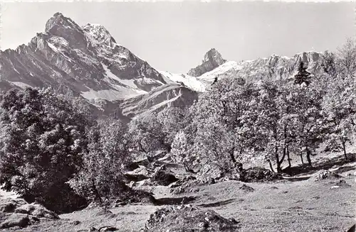 CH 8784 BRAUNWALD, , Ortstock / Hoher Turm