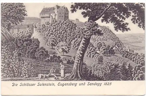CH 8268 SALENSTEIN, Schlösser Salenstein, Eugensberg und Sandegg, Künstler-Karte
