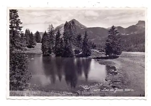 CH 1619 CHATEL - SAINT - DENIS, Lac de Joncs, 1945