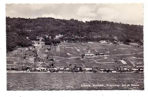 CH 2514 LIGERZ / GLERESSE BE, Panorama vom Bieler See aus