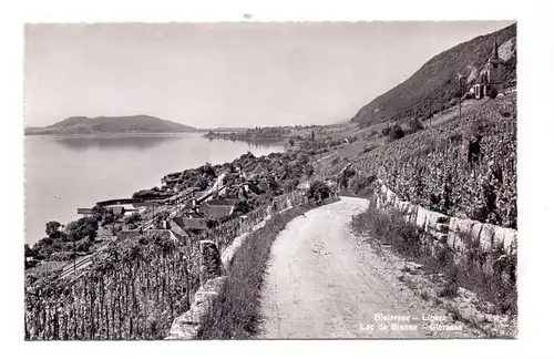 CH 2514 LIGERZ / GLERESSE BE, Blick auf den Ort