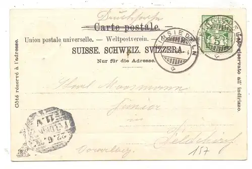 CH 8840 EINSIEDELN SZ, Gesamtansicht, Schwalben, Schwalbennest, teils geprägt, 1904, Benziger