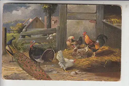 LANDWIRTSCHAFT - Geflügel / Poultry / Oiseaux / Pollo / Gevogelte / Aves - Künstler-Karte
