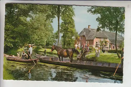 LANDWIRTSCHAFT - Pferdetransport per Boot, Giethoorn / NL, 1965