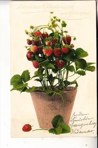 LANDWIRTSCHAFT - Erdbeeren / Strawberries / Fraises / Fragole / Fresas / Aardbeien, 1906
