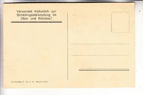 LANDWIRTSCHAFT - WEINBAU - Werbekarte Kalkindustrie, Spritzen der Reben mit Kupferkalkbrühe