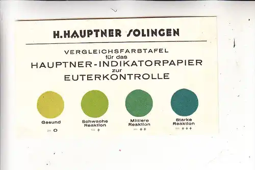 LANDWIRTSCHAFT - VIEHZUCHT - Vergleichstafel Euterkontrolle, Hauptner-Solingen